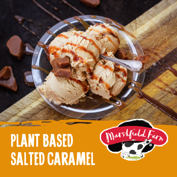 2 4lt Marshfield Plant Based Salted Caramel Consort Frozen Foods