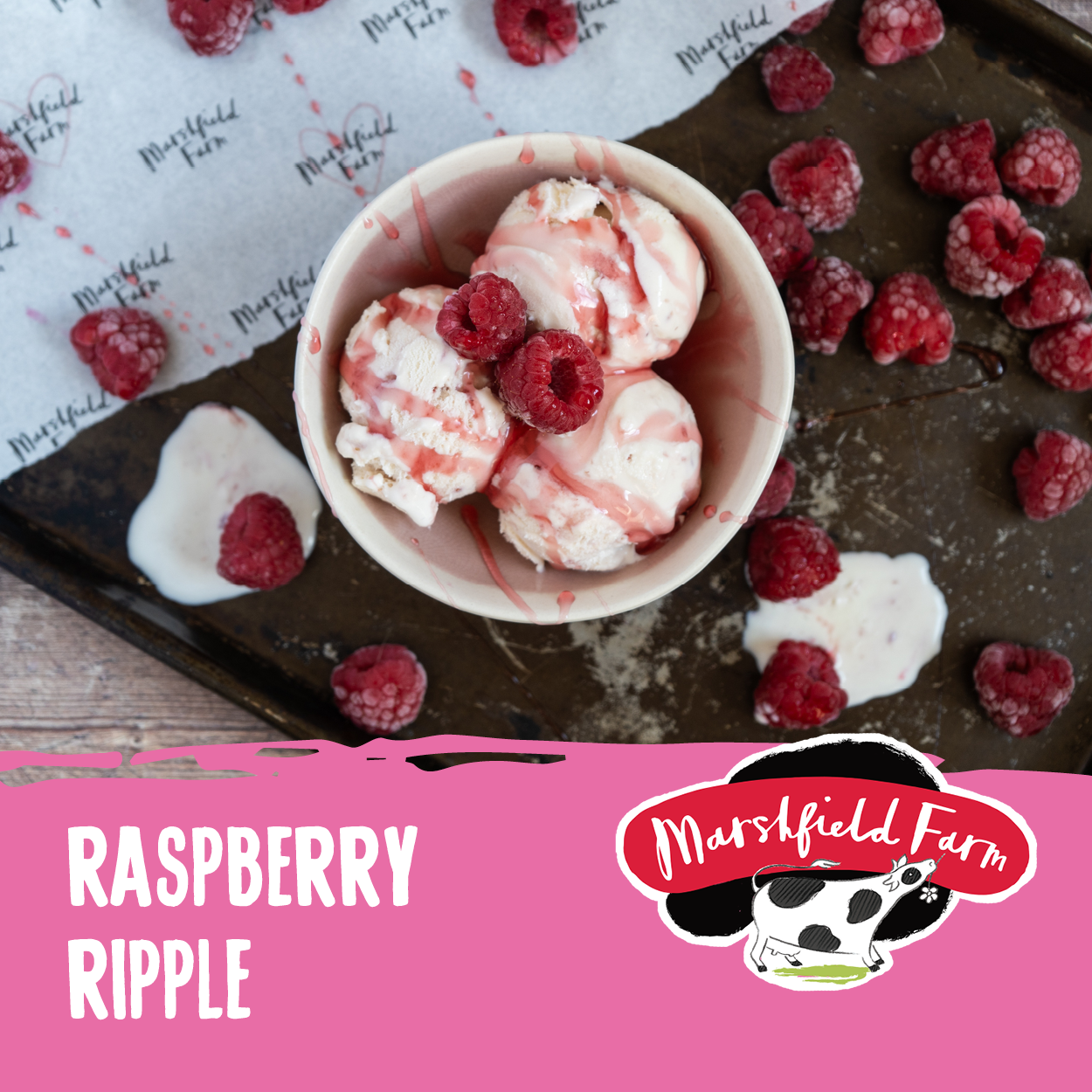 5lt Marshfield Raspberry Ripple Consort Frozen Foods