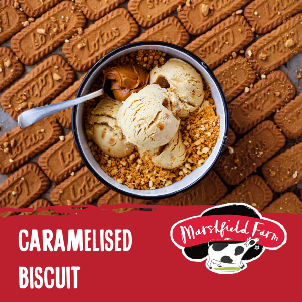 5lt Marshfield Caramelised Biscuit