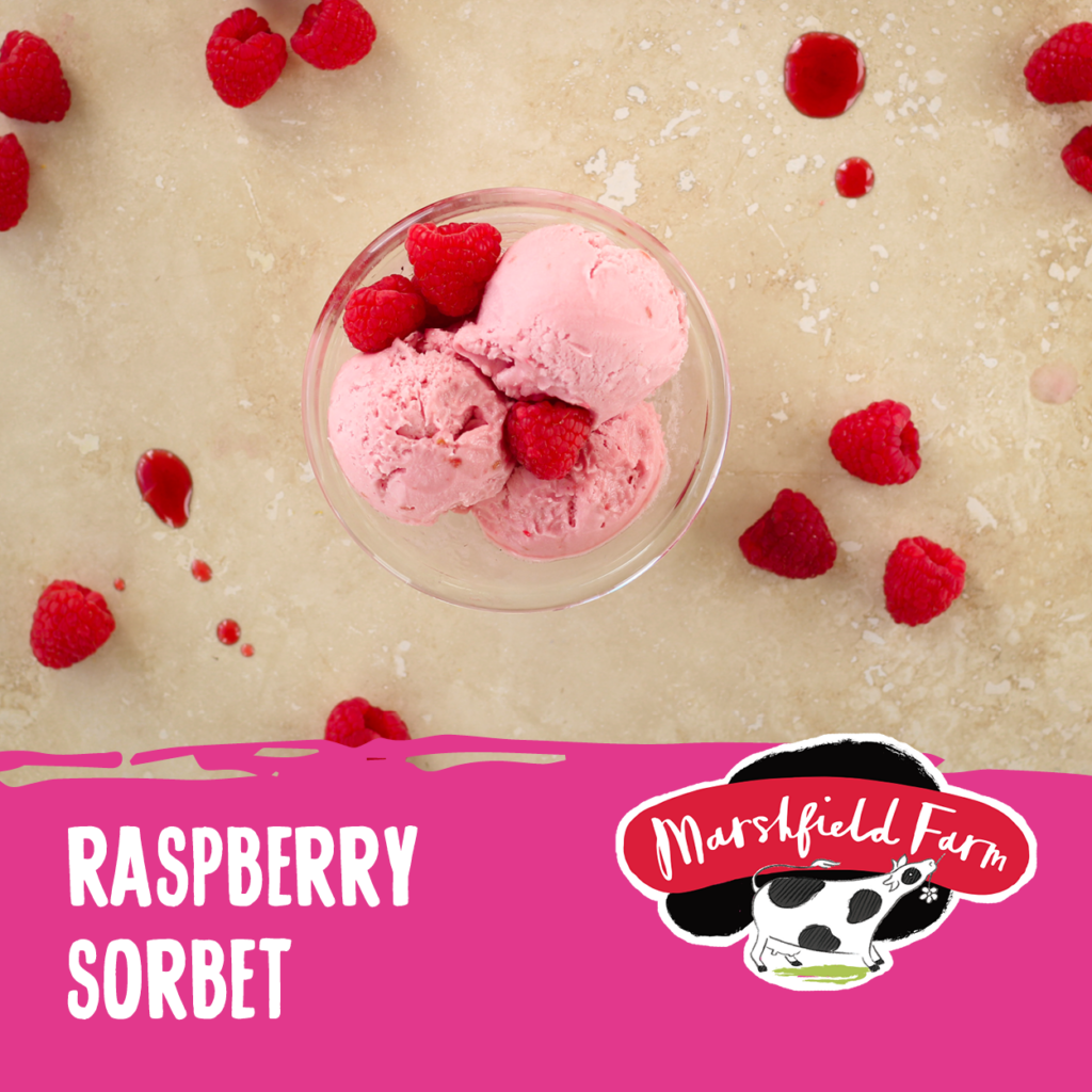 Consort Frozen Foods Ltd 2.4lt Marshfield Raspberry Sorbet