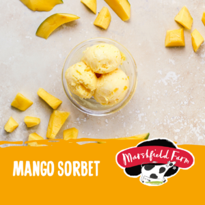 Consort Frozen Foods Ltd 2.4lt Marshfield Mango Sorbet