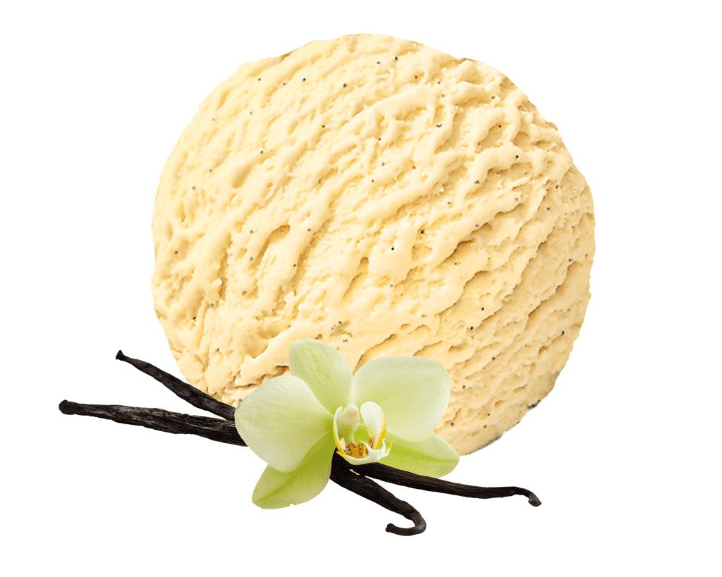 Consort Frozen Foods Ltd 2.4lt Carte D'or VEGAN Vanilla