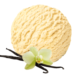 Consort Frozen Foods Ltd 2.4lt Carte D'or VEGAN Vanilla