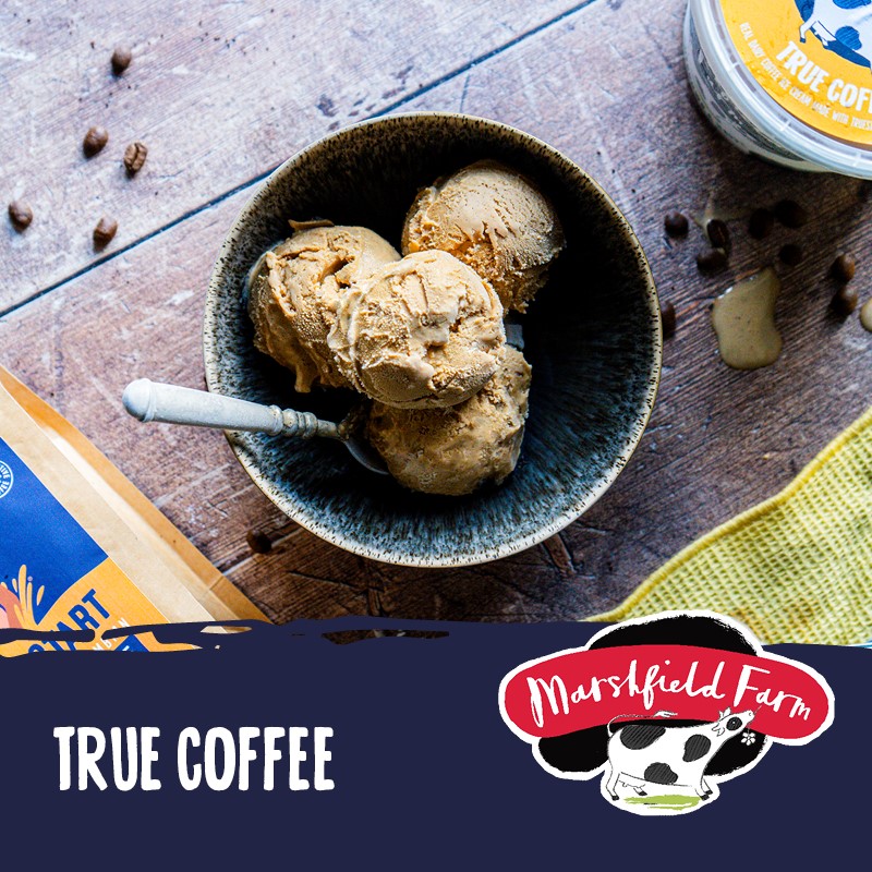 Consort Frozen Foods Ltd 5lt Marshfield True Coffee Ice Cream