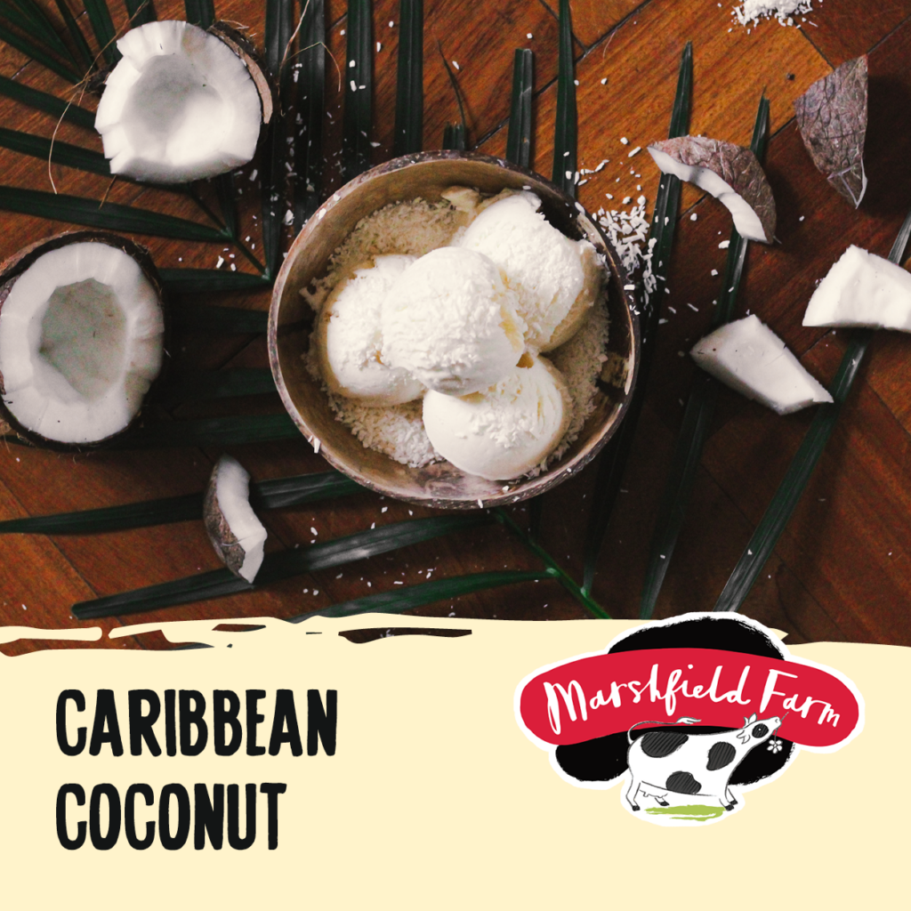 Consort frozen foods ltd 5lt Marshfield Caribbean Coconut
