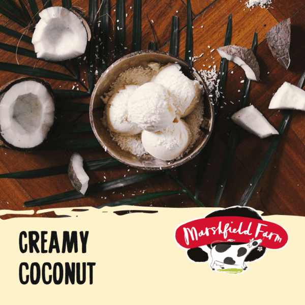 5lt Marshfield Creamy Coconut