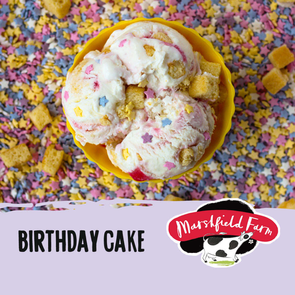 5lt Marshfield Birthday Cake