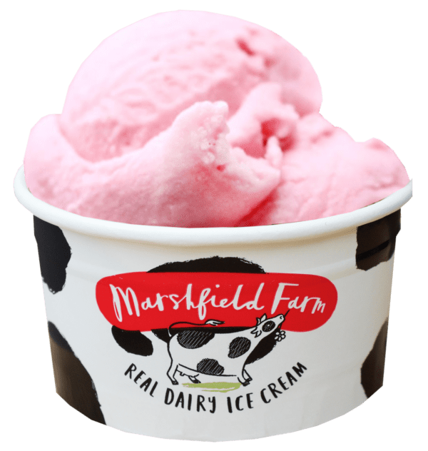 Consort Frozen Foods Ltd Marshfield 1 Scoop Wax Tub