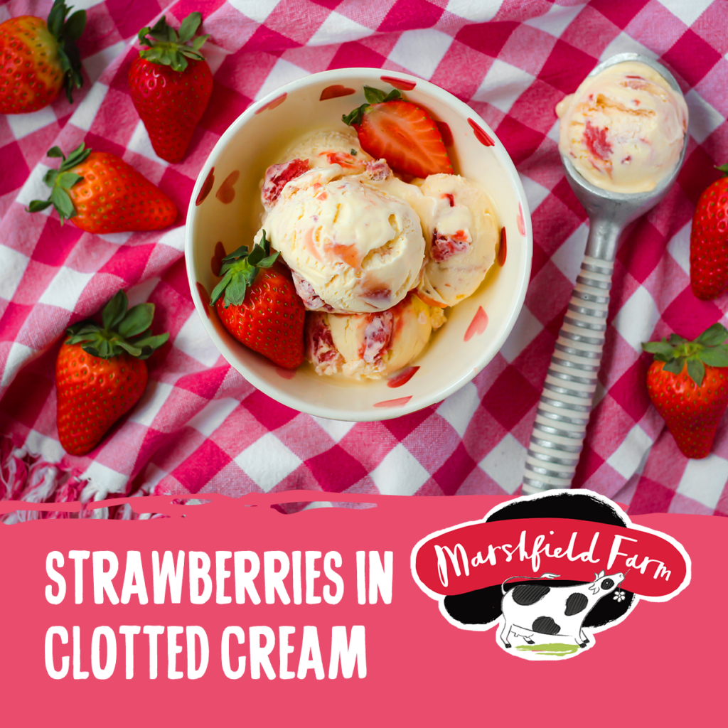 Consort Frozen Foods Ltd 4lt Marshfield Strawberries in Clotted Cream