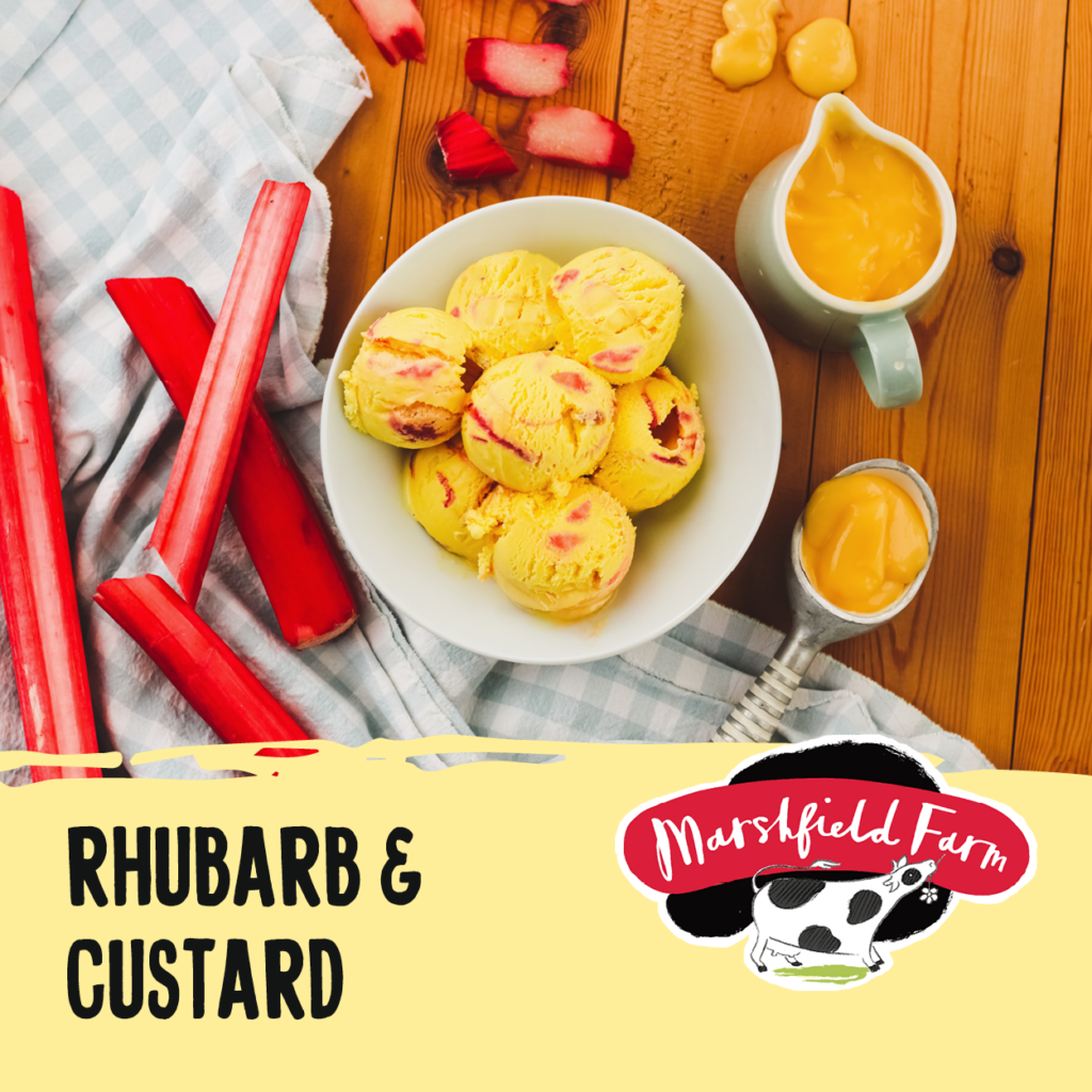 Consort Frozen Foods Ltd 5lt Marshfield Rhubarb & Custard