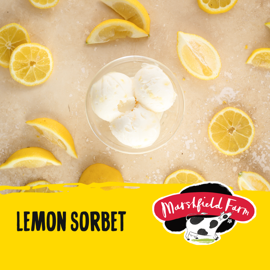 Consort Frozen Foods Ltd 2.4lt Marshfield Lemon Sorbet
