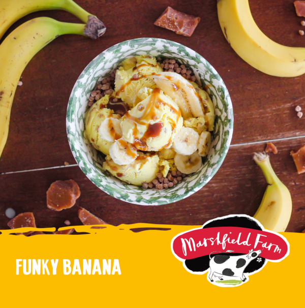 marshfields-funky-banana