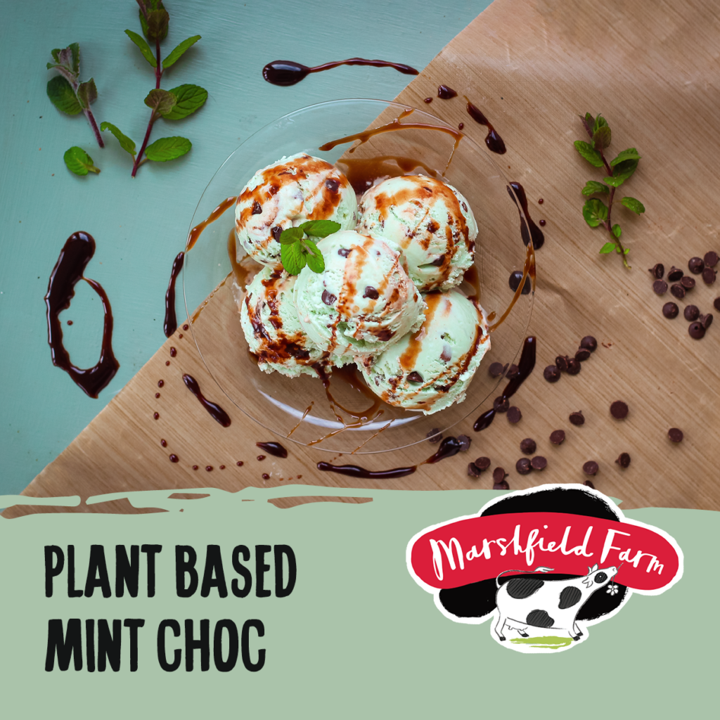 Consort Frozen Foods Ltd 2.4lt Marshfield Plant Based Mint
