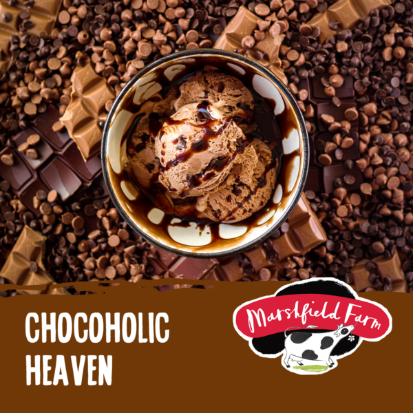 Consort Frozen Foods Ltd 4lt Marshfield Chocolate Heaven
