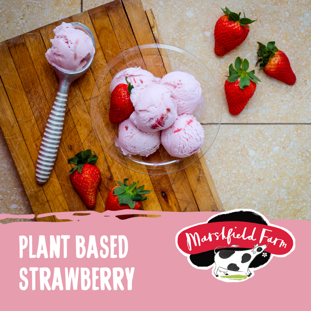 Consort Frozen Foods Ltd 2.4lt Marshfield Plant Based Strawberry