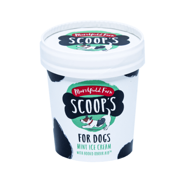M/F DOG Ice Cream Mint Marshfield DOG Ice Cream Mint