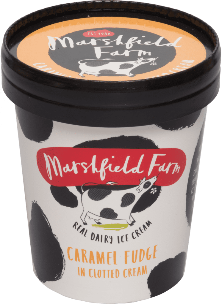 Consort Frozen Foods Ltd Marshfield Caramel Fudge TUB