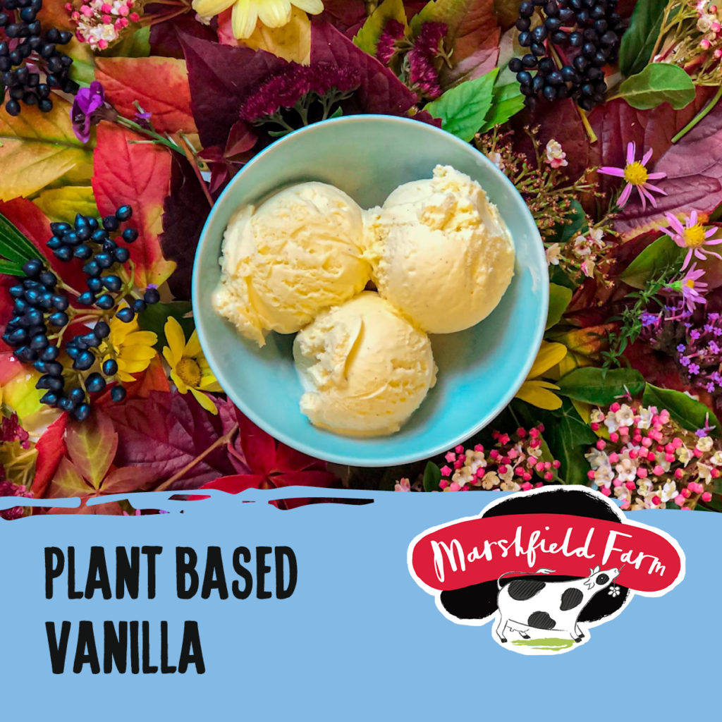 Consort Frozen Foods Ltd 2.4lt Marshfield Plant Based Vanilla