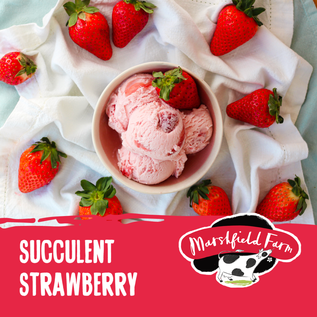 Consort Frozen Foods LTd 4lt Marshfield Succulent Strawberry