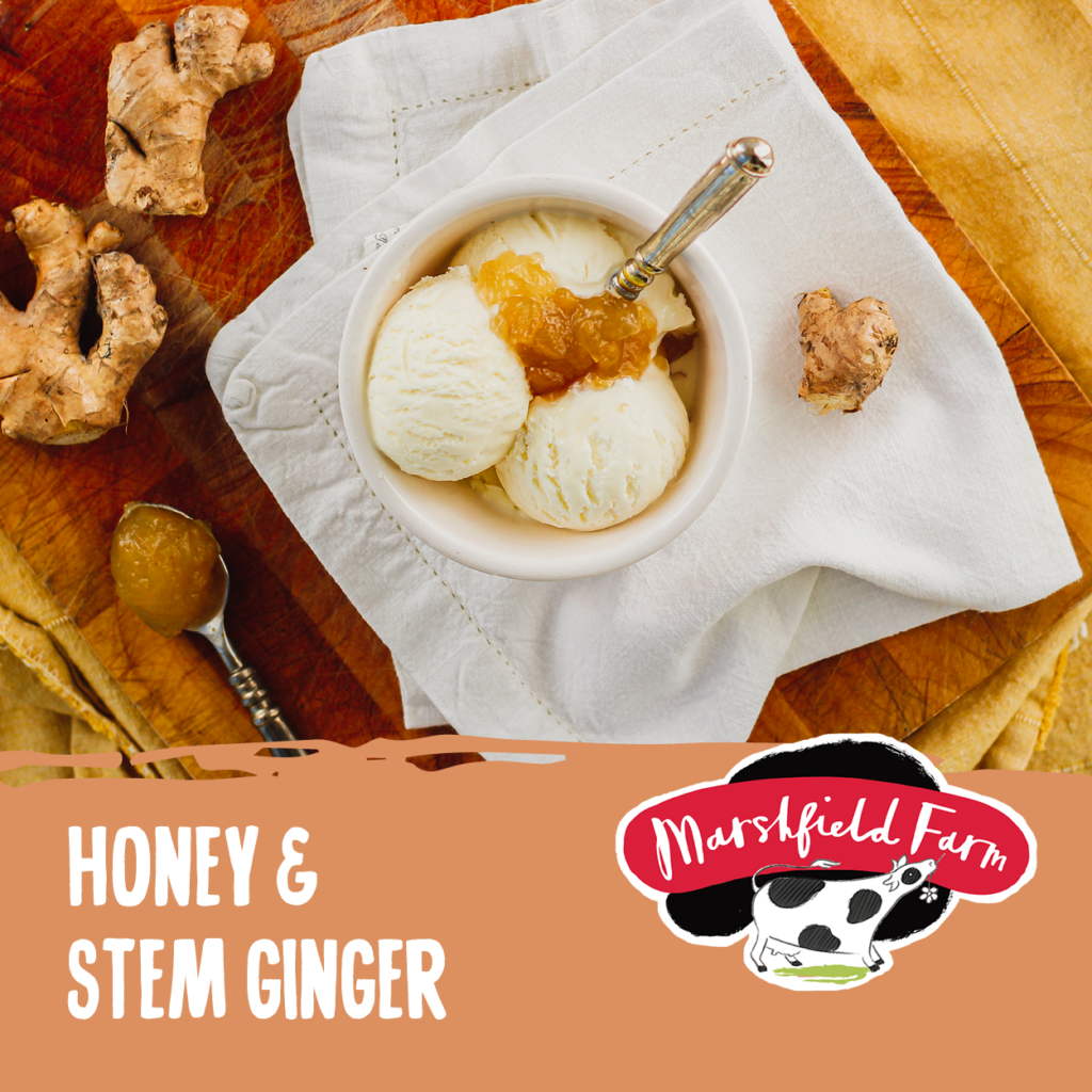 Consort Frozen Foods Ltd Marshfield Honey & Stem Ginger -