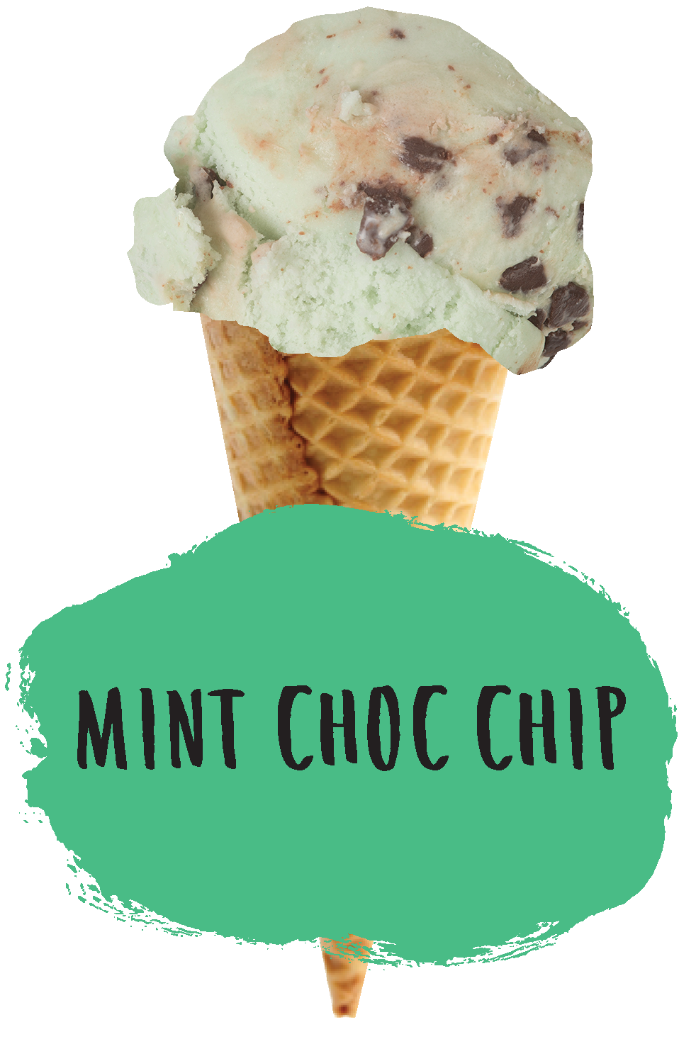 5lt Marshfield Mint Choc Chip Consort Frozen Foods