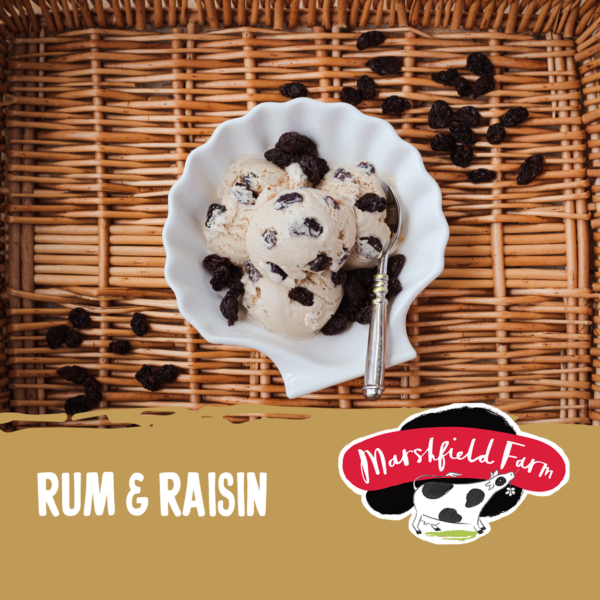Consort Frozen Foods LTD 4lt Marshfield Rum & Raisin