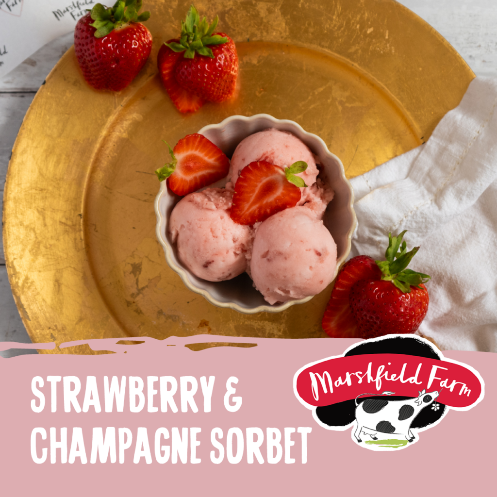 2.4lt Marshfield Strawberry & Champagne Sorbet