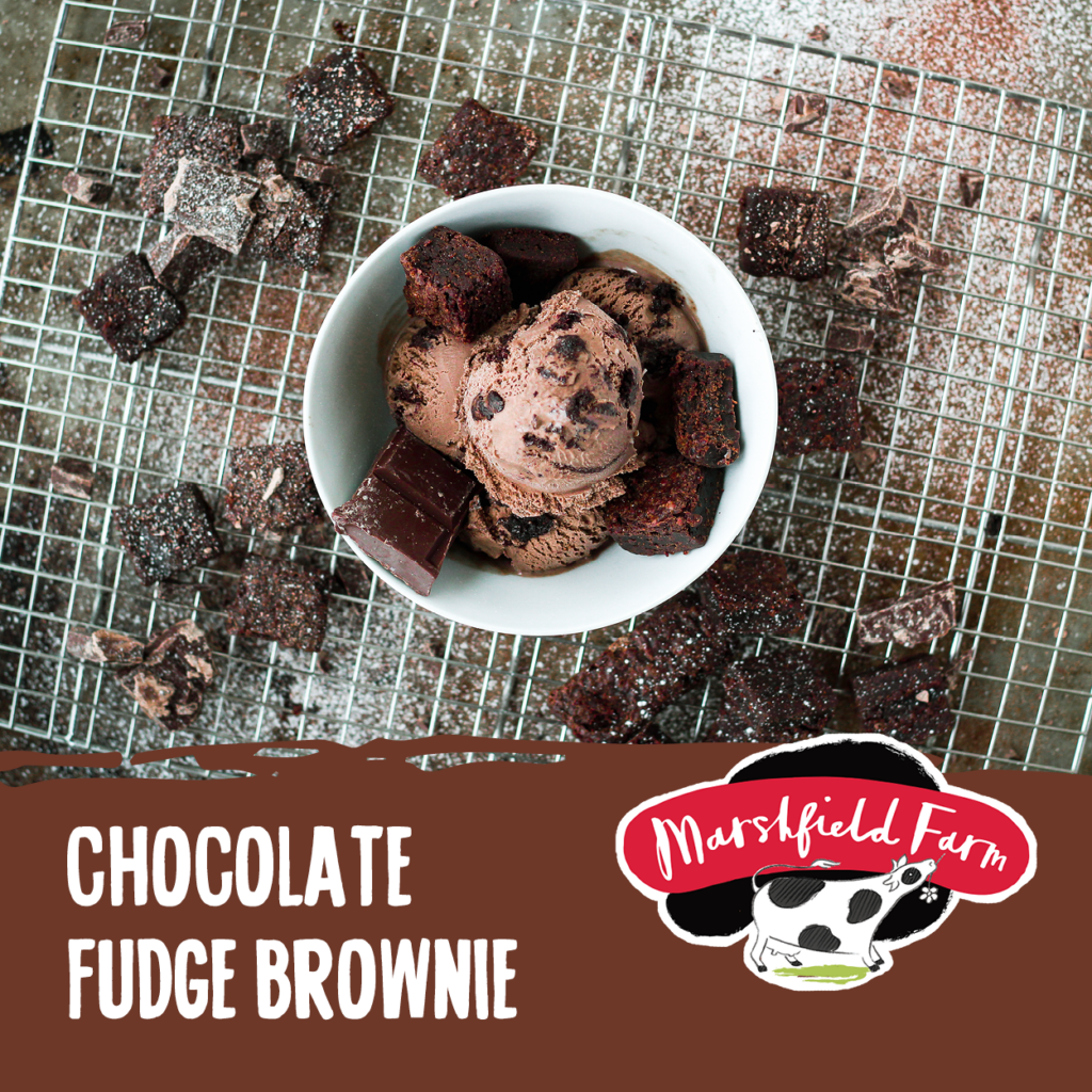 Consort Frozen Foods Ltd 5lt Marshfield Chocolate Fudge Brownie