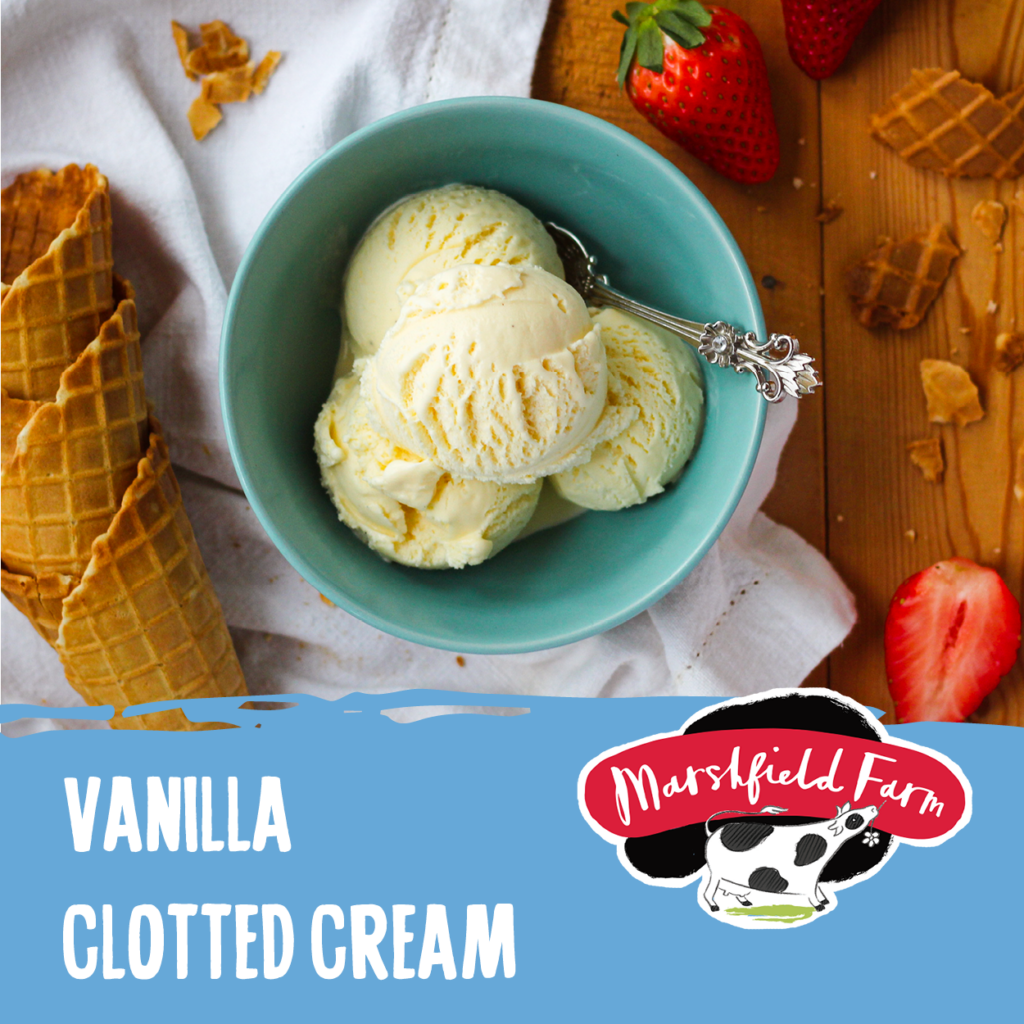 4lt Marshfield Vanilla in Clotted Cream - Available from Consort Frozen Foods Today Vanilla Clotted Cream Ice Cream is flavoured with clotted cream and vanilla bean seeds.