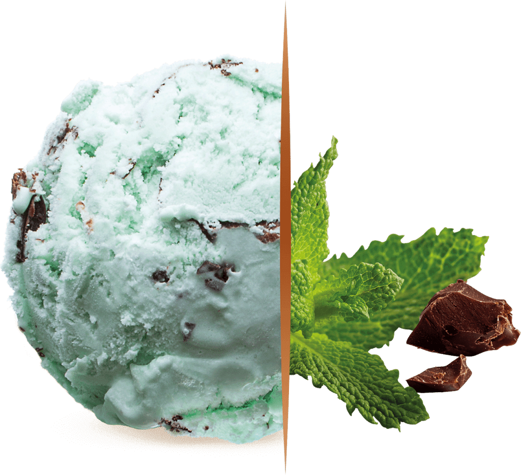 Consort Frozen Foods Ltd 5.5lt Carte D'or Mint Chocolate