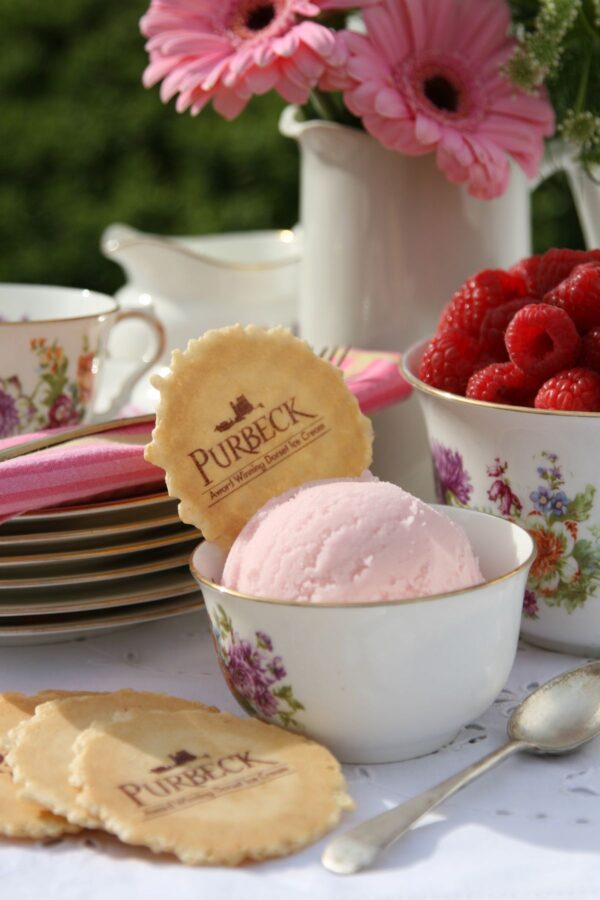 Consort Frozen Foods Ltd Purbeck Raspberry Sorbet