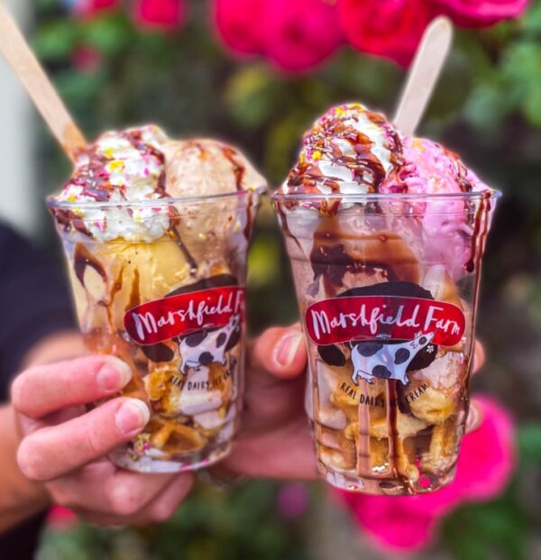 Marshfield 16oz Sundae Cup - Image 2