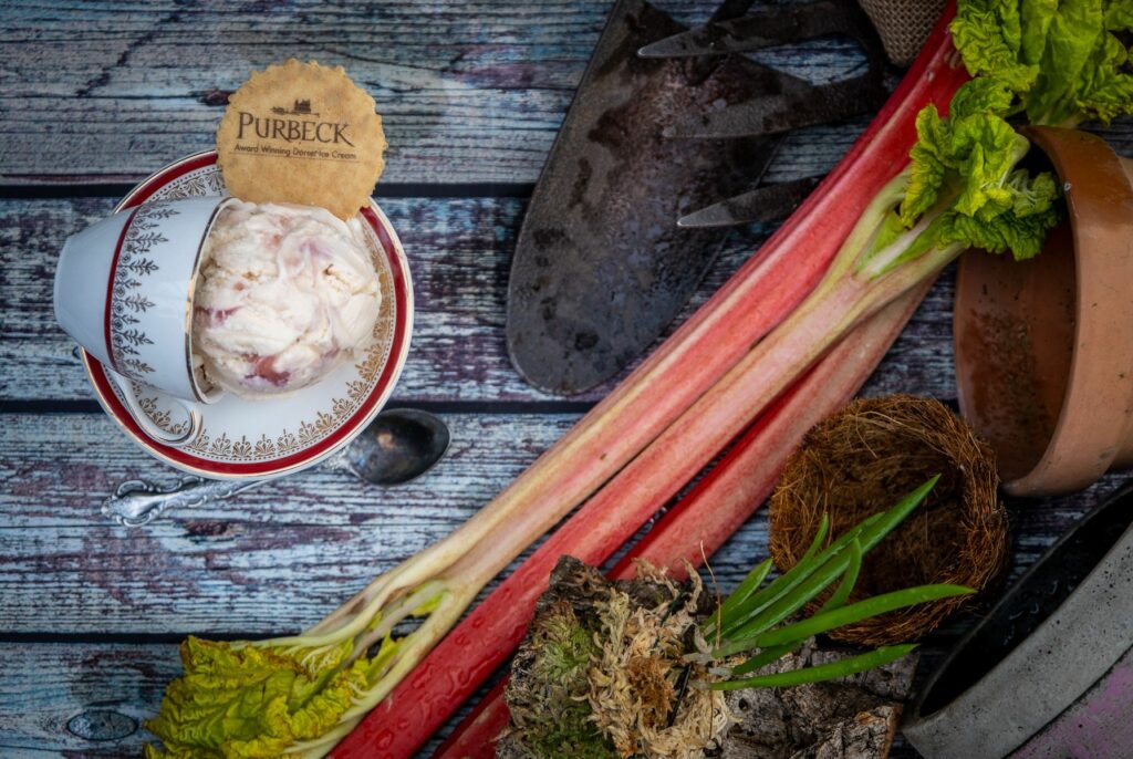 Consort Frozen Foods Ltd Purbeck Vegan Rhubarb & Rosehip