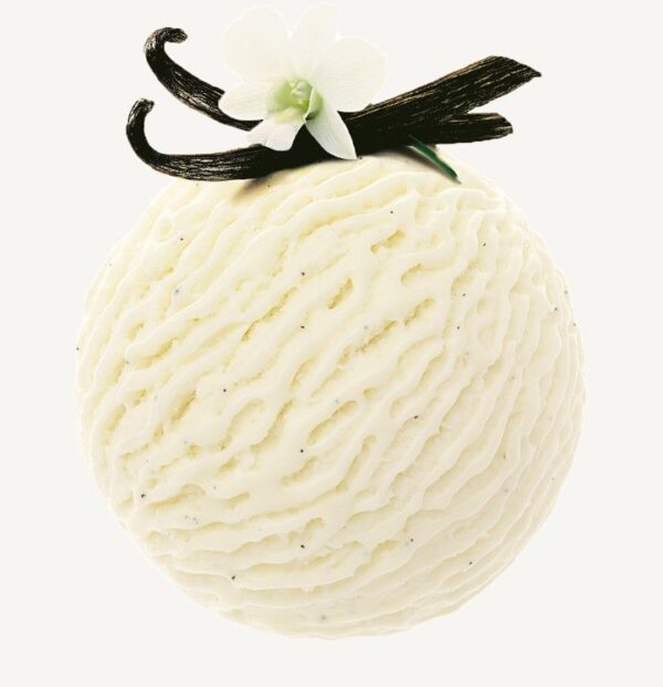 Consort Frozen Foods Ltd 5lt Movenpick Vanilla Dream