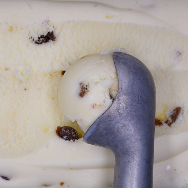 Consort Frozen Foods Ltd 5lt Marine Gelato Rum & Raisin 5lt Criterion Gelato Rum & Raisin