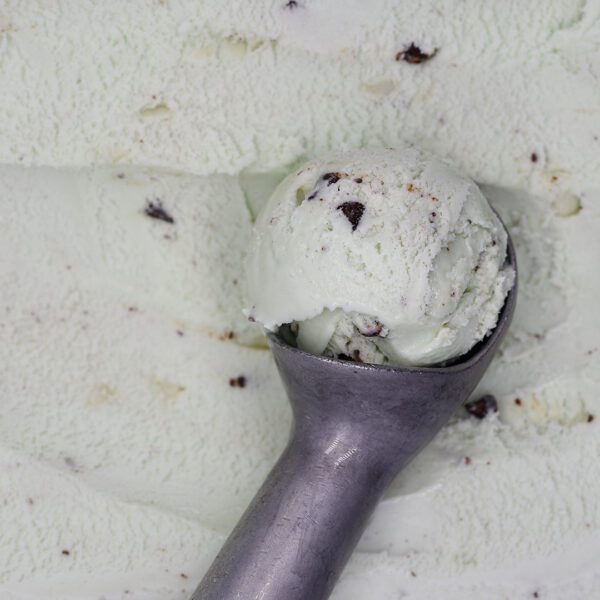 Consort Frozen Foods Ltd 5lt Marine Gelato Mint Chocolate Chip 5lt Criterion Gelato Mint Chocolate Chip