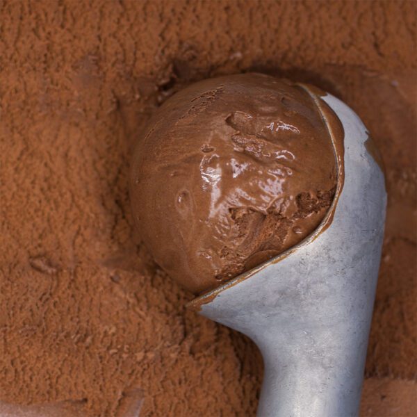 Consort Frozen Foods Ltd 5lt Marine Gelato Standard Chocolate