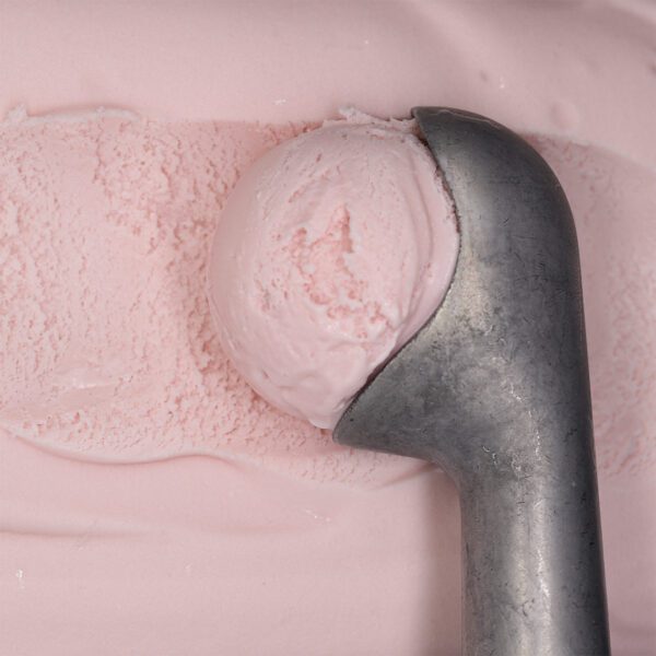 Consort Frozen Foods Ltd 5lt Marine Gelato Standard Strawberry 5lt Criterion Gelato Standard Strawberry