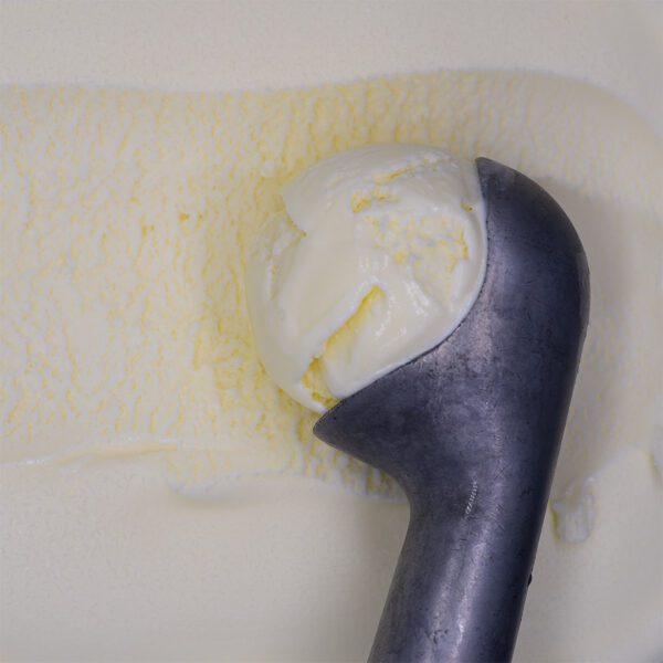 Consort Frozen Foods Ltd 5lt Criterion Gelato Standard Vanilla 5lt Marine Gelato Standard Vanilla