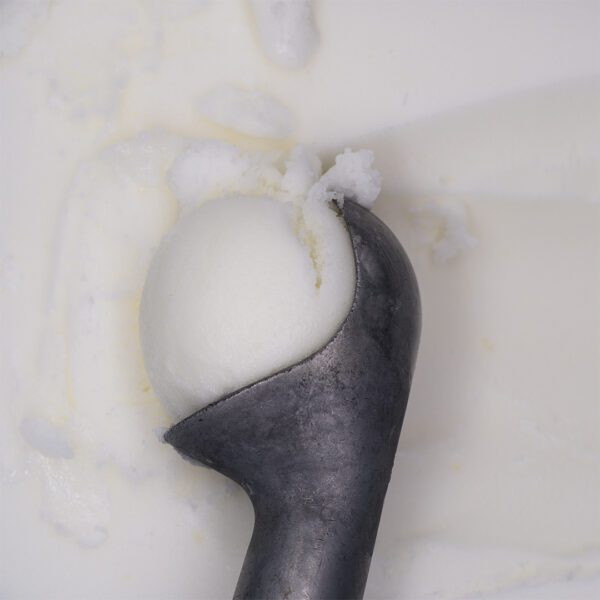 Consort Frozen Foods Ltd 5lt Criterion Lemon Sorbet 5lt Marine Lemon Sorbet