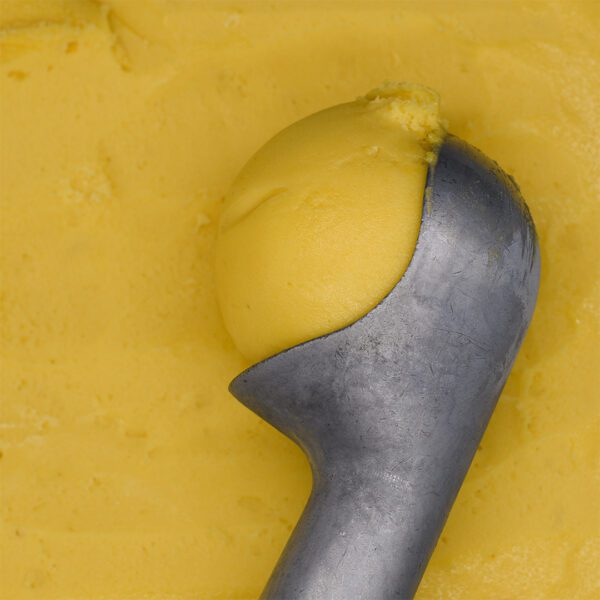 Consort Frozen Foods Ltd 5lt Marine Mango Sorbet 5lt Criterion Mango Sorbet