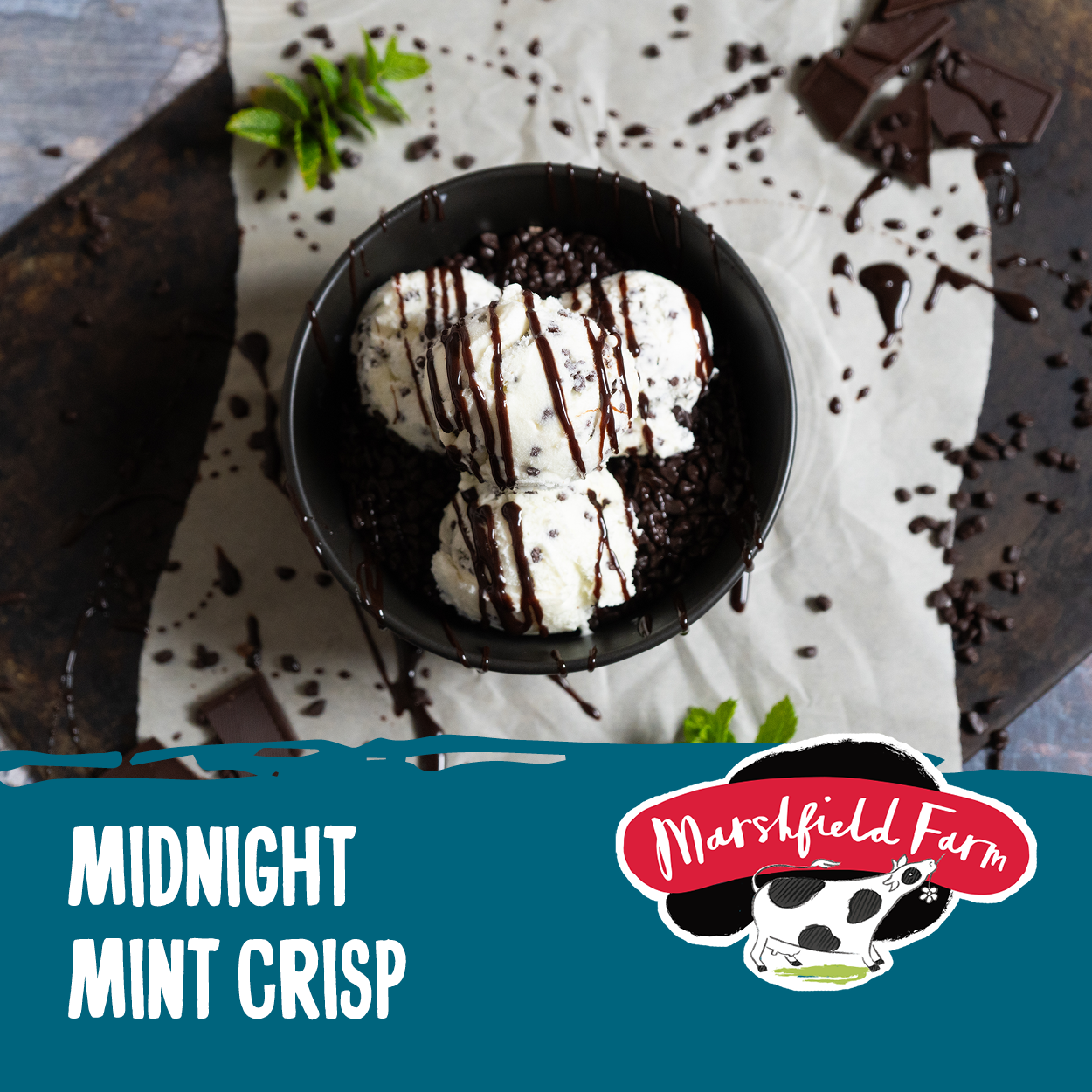 5lt Marshfield Midnight Mint Crisp Consort Frozen Foods 7364