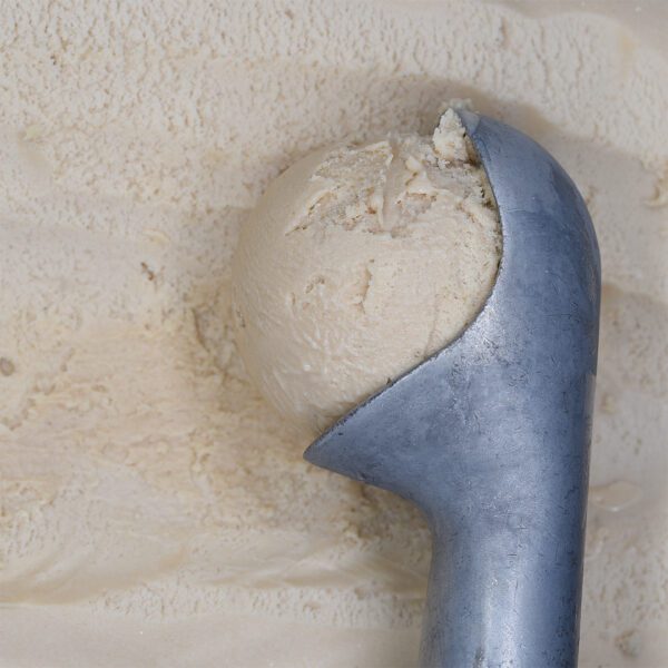 Consort Frozen Foods Ltd 5lt Marine Gelato Hazelnut 5lt Criterion Gelato Hazelnut