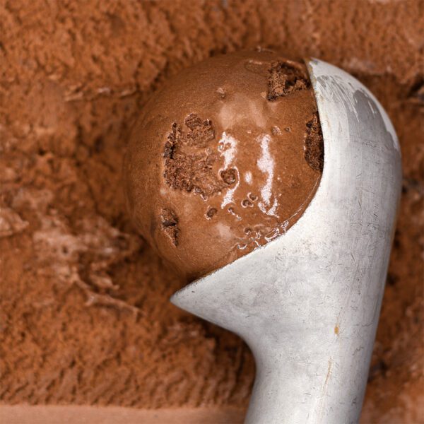 Consort Frozen Foods Ltd 5lt Marine Gelato Chocolate with Pieces 5lt Criterion Gelato Chocolate with Pieces