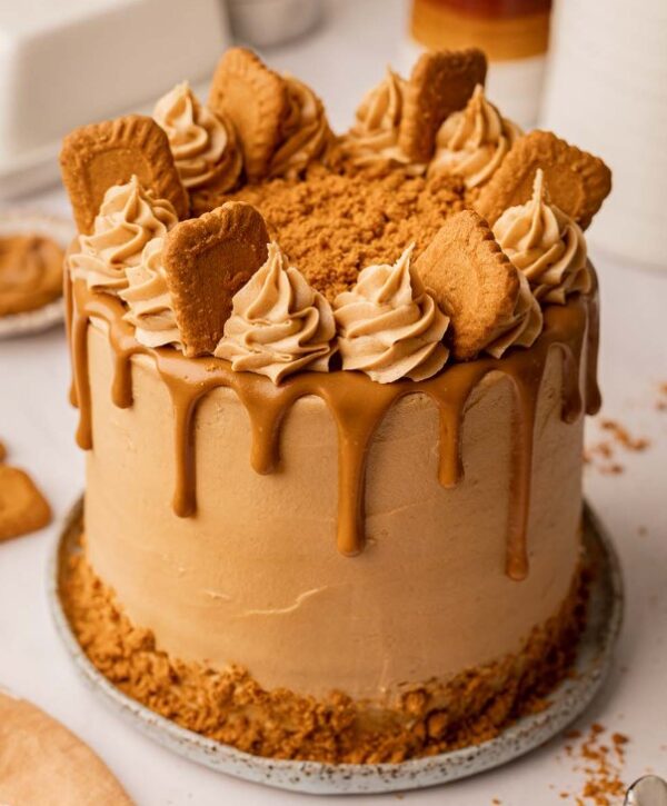 Biscoff Classic Crumbs Sprinkle - Image 5