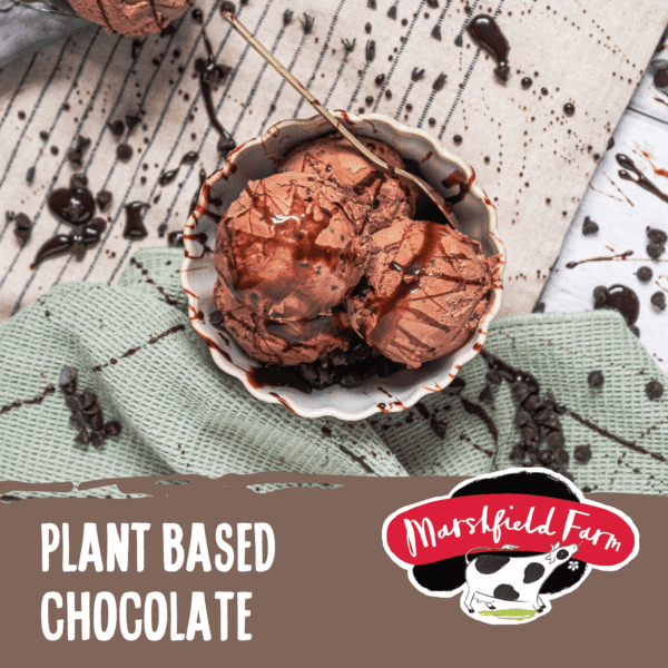 Consort Frozen Foods Ltd 2.4lt Marshfield Plant Based VEGAN Chocolate