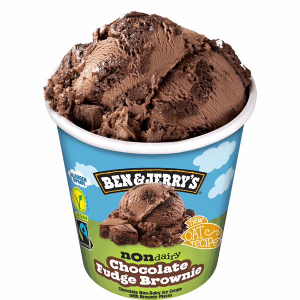 BEN & JERRY'S Non Dairy Chocolate Fudge Brownie