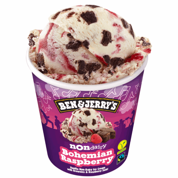 BEN & JERRY’S NON DAIRY Bohemian Raspberry