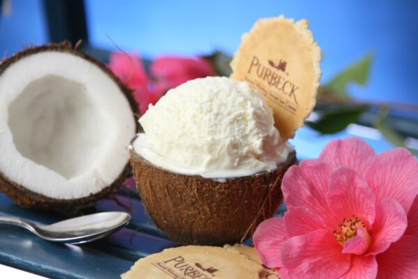 Consort Frozen Foods Purbeck Coconut