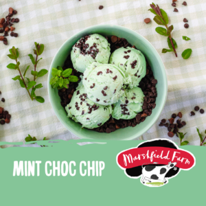 Consort Frozen Foods Ltd 4lt Marshfield Mint Choc Chip